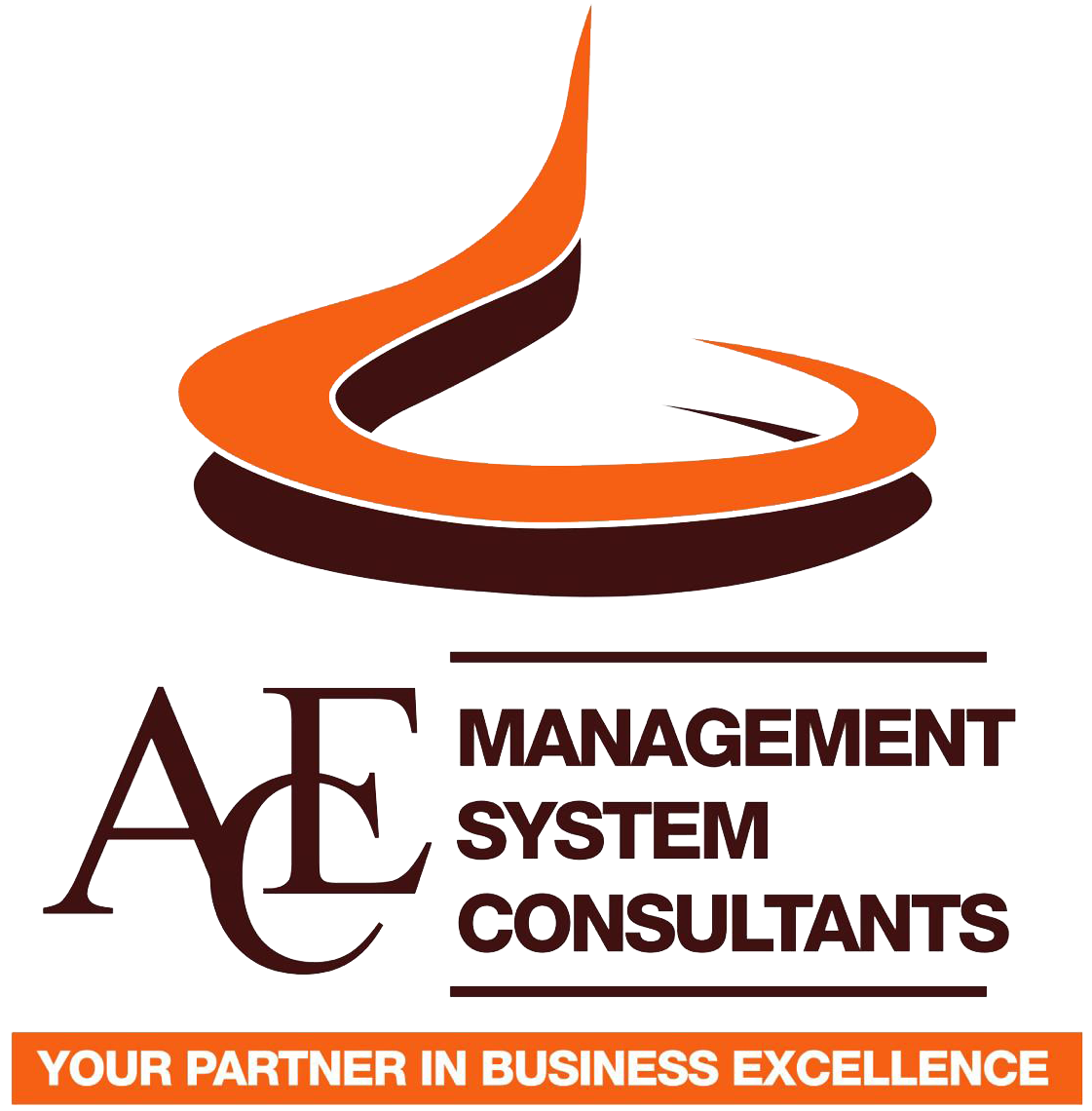Ace Consultant